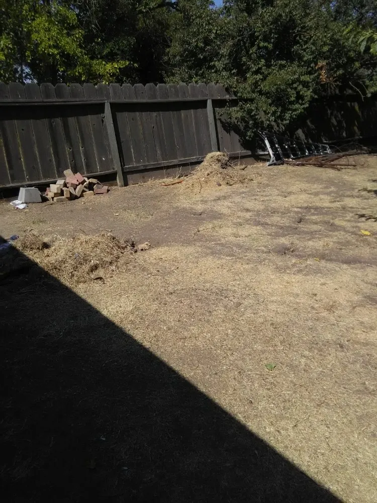 Trusted outdoor landscaping near you in Stockton, CA by Shady Lawn Landscaping