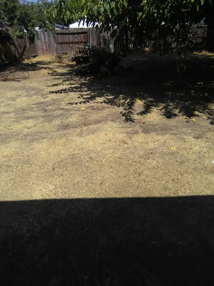 Professional landscape installation for year-round maintenance across Stockton, CA - Shady Lawn Landscaping