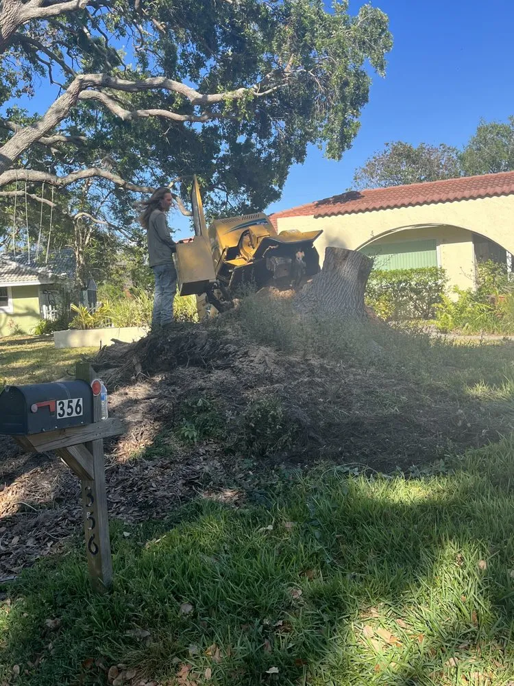 Expert residential landscaping for residential properties in Sarasota, FL by Shady Oak landscapes