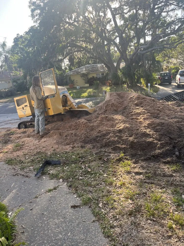Top-rated yard cleanup service in Sarasota, FL - Shady Oak landscapes