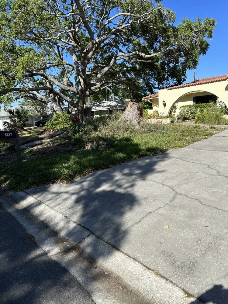 Professional outdoor landscaping experts serving Sarasota, FL - Shady Oak landscapes