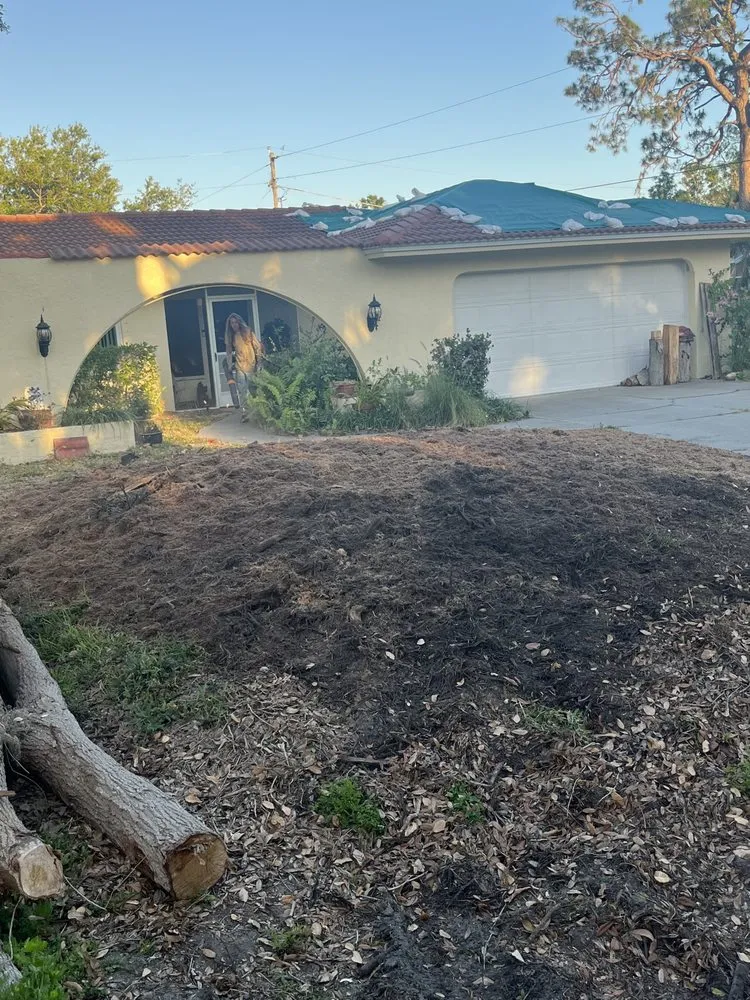 Trusted landscape installation for outdoor upgrades across Sarasota, FL - Shady Oak landscapes