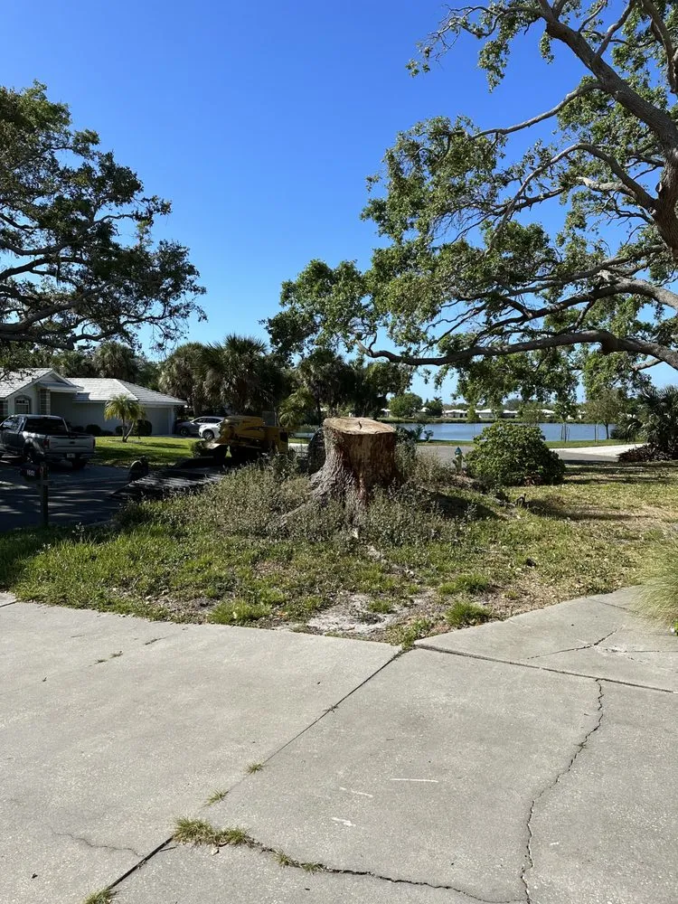 Affordable lawn mowing service for homes in Sarasota, FL by Shady Oak landscapes