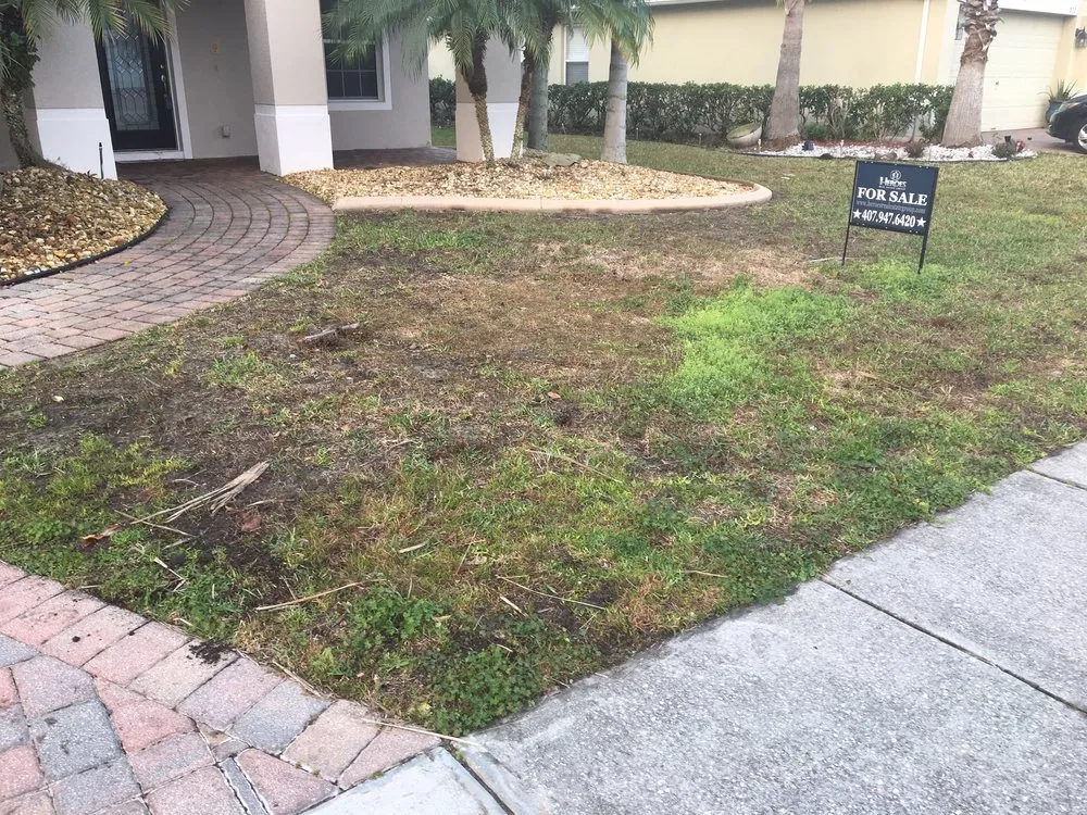 Custom landscaping services in Orlando, FL by Shady Oak Lawn and Landscape Management