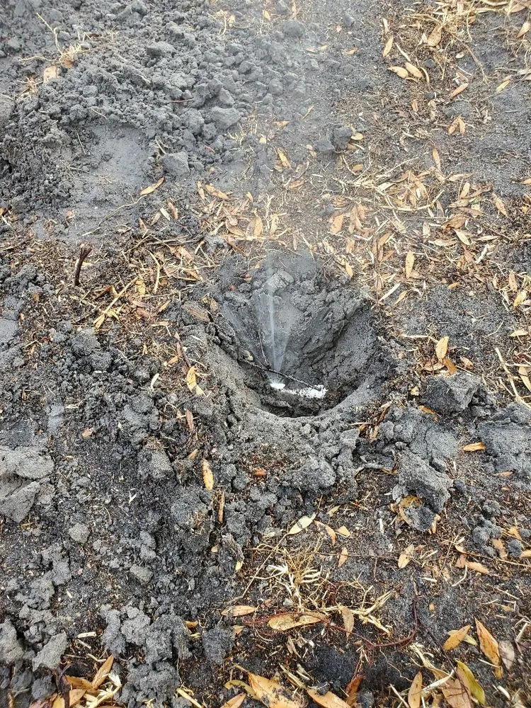 Professional lawn care service in Orlando, FL by Shady Oak Lawn and Landscape Management