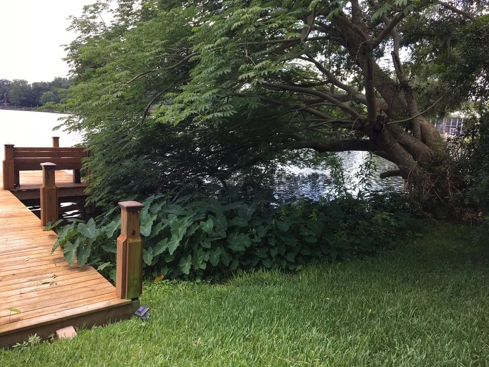 Trusted lawn mowing service in Orlando, FL by Shady Oak Lawn and Landscape Management