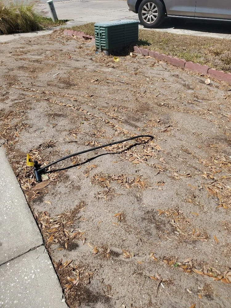 Custom landscape installation in Orlando, FL - Shady Oak Lawn and Landscape Management