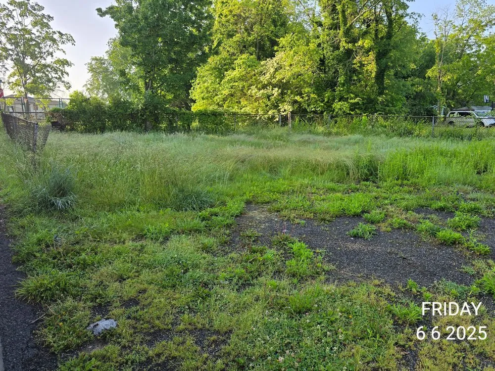 Expert lawn care service experts serving Fairdale, WV - Shady Oaks Property Management