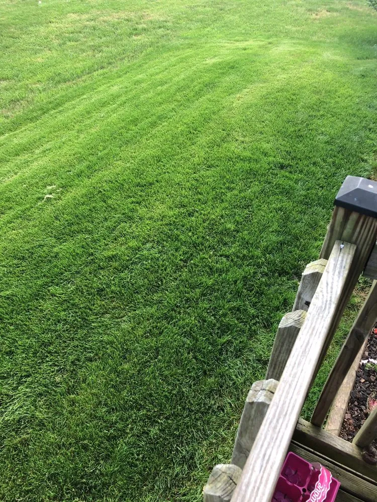 Top-rated yard maintenance in West River, MD - Shady Oaks Turf Farms