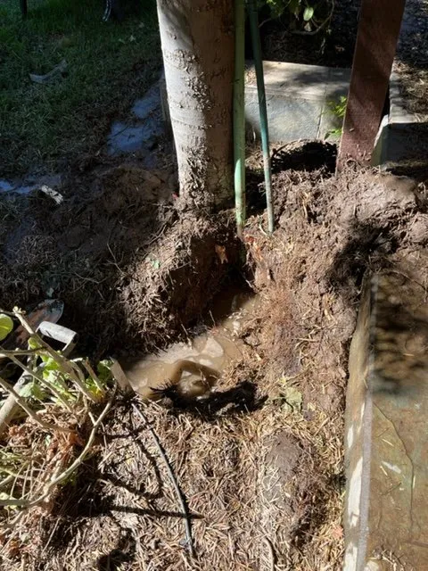 Custom residential landscaping for homes across Modesto, CA - Shady Tree Landscaping