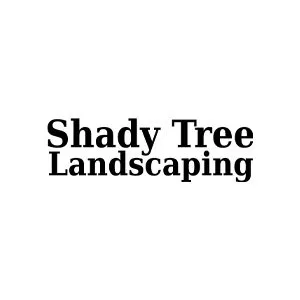 Professional yard maintenance in Modesto, CA by Shady Tree Landscaping