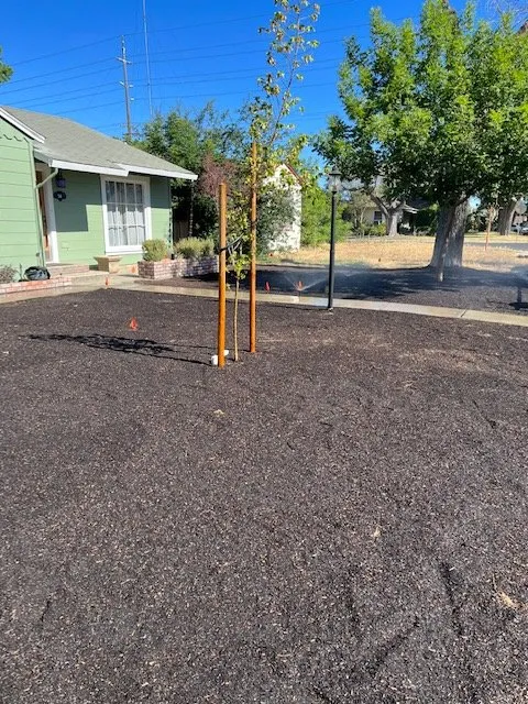 Local landscape installation for residential properties across Modesto, CA - Shady Tree Landscaping