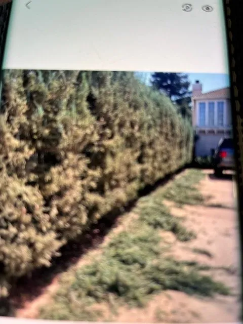 Expert landscape installation for residential properties across Modesto, CA - Shady Tree Landscaping