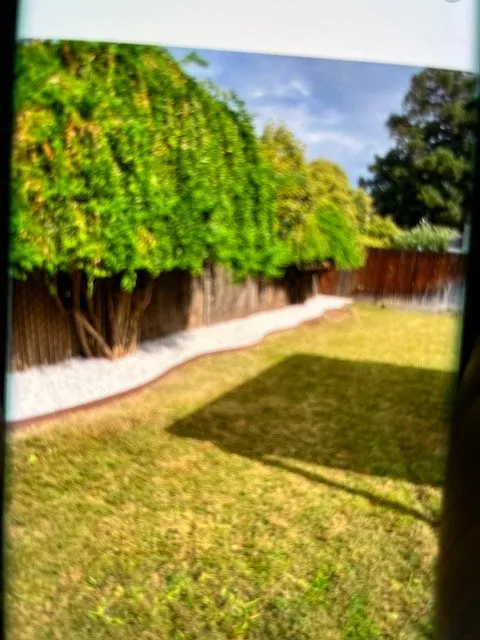 Reliable landscaping services experts serving Modesto, CA - Shady Tree Landscaping