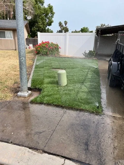 Trusted yard cleanup service in Modesto, CA - Shady Tree Landscaping