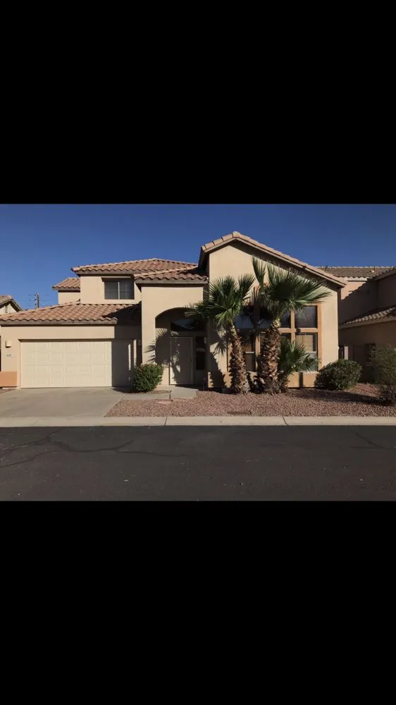 Trusted yard maintenance near you across Mesa, AZ - Shady Tree Services and Landscaping