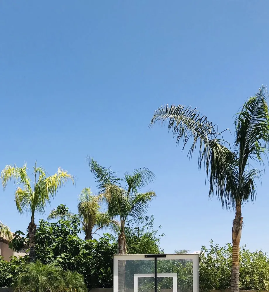 Custom residential landscaping for homes across Mesa, AZ - Shady Tree Services and Landscaping