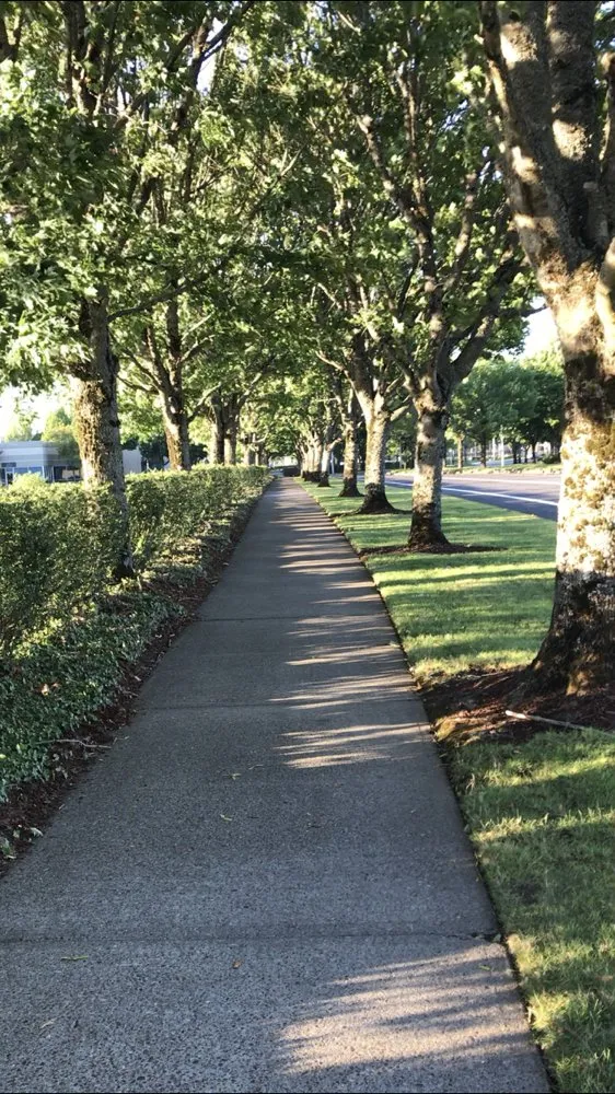 Reliable landscape installation near you across Mesa, AZ - Shady Tree Services and Landscaping