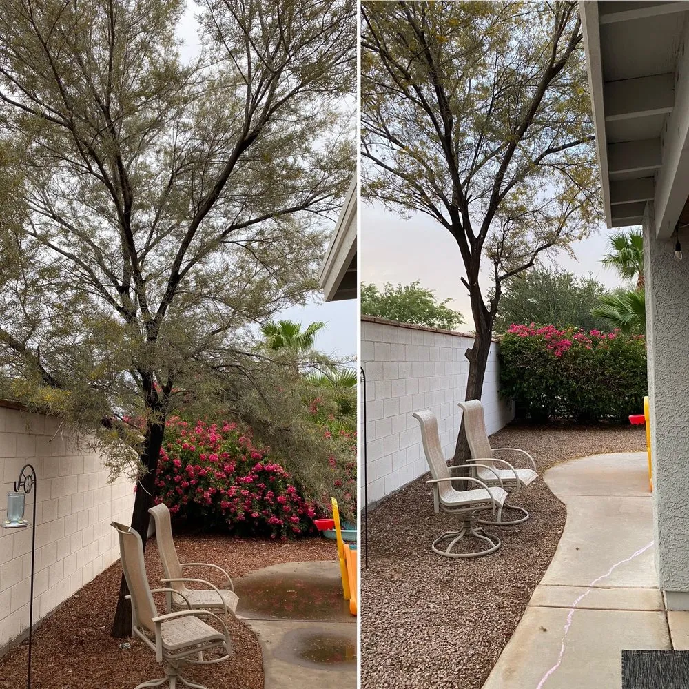 Custom landscape installation in Mesa, AZ - Shady Tree Services and Landscaping