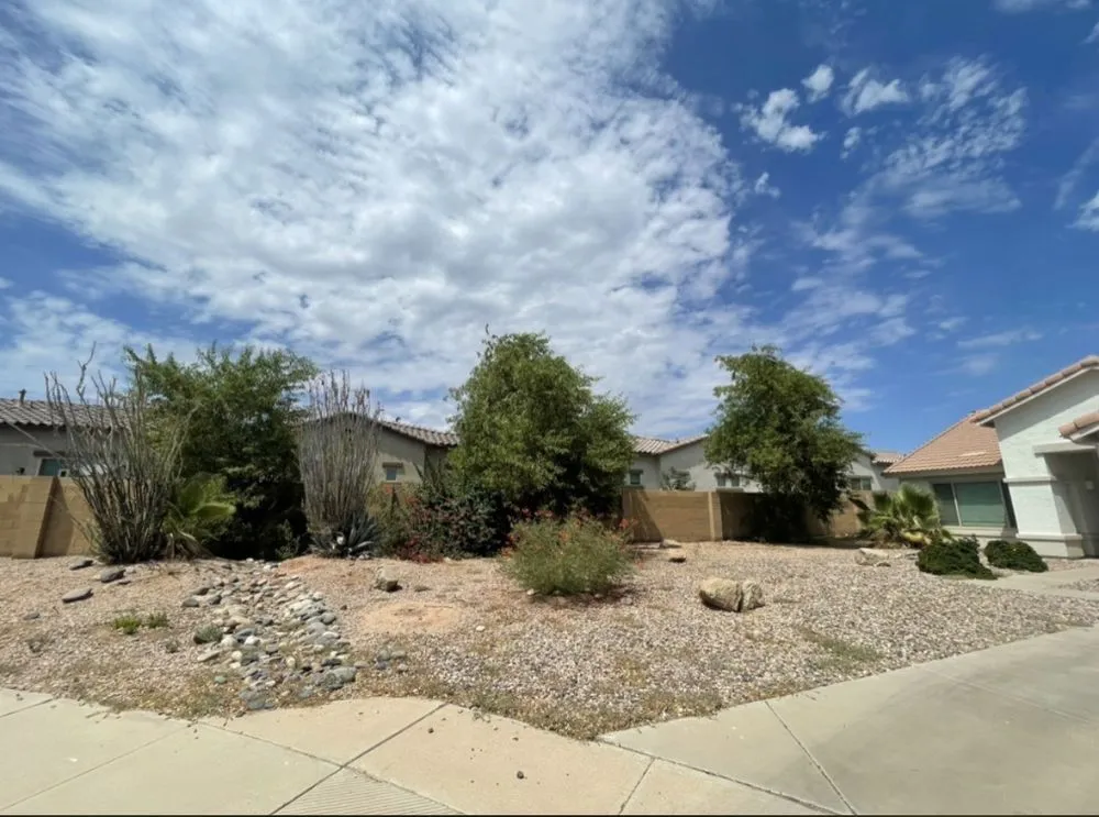 Custom garden landscaping in Mesa, AZ by Shady Tree Services and Landscaping