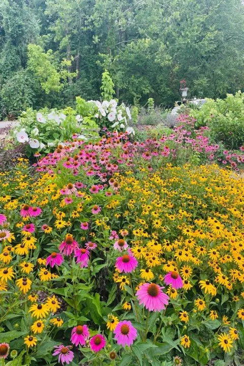Reliable landscape installation in Columbia, IL - Shadycreek Nursery & Garden