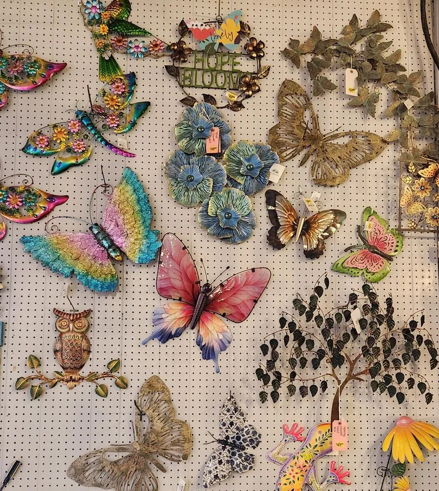 Expert lawn mowing service for residential properties in Columbia, IL by Shadycreek Nursery & Garden