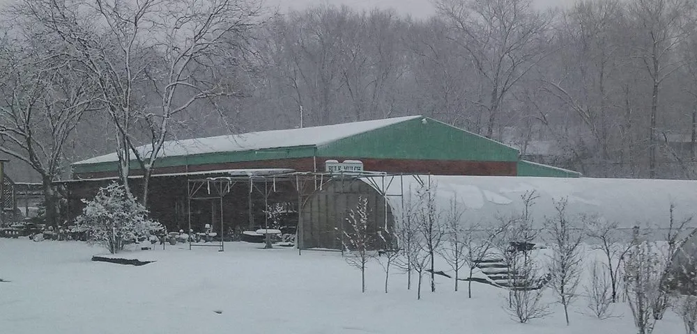 Professional yard cleanup service in Columbia, IL by Shadycreek Nursery & Garden