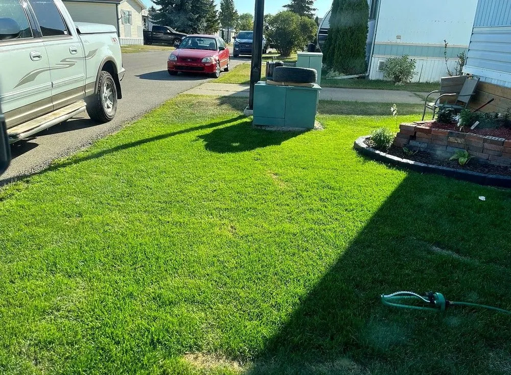 Top-rated residential landscaping for beautiful yards across Pittsburgh, PA - Shadyside Lawn Services