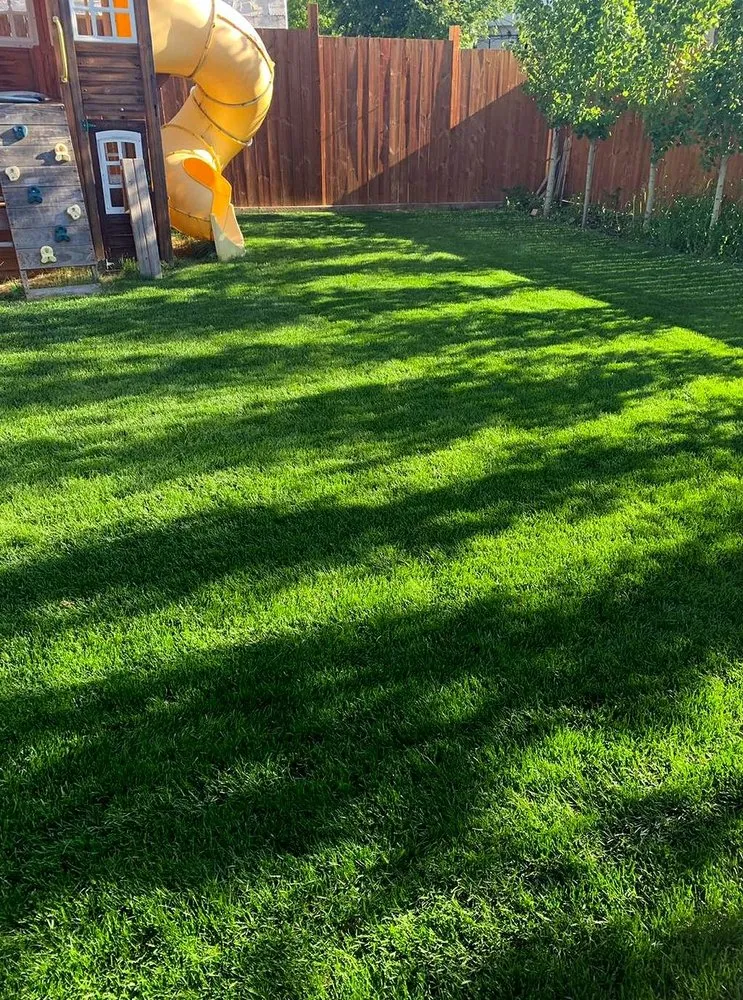 Custom landscaping services experts serving Pittsburgh, PA - Shadyside Lawn Services