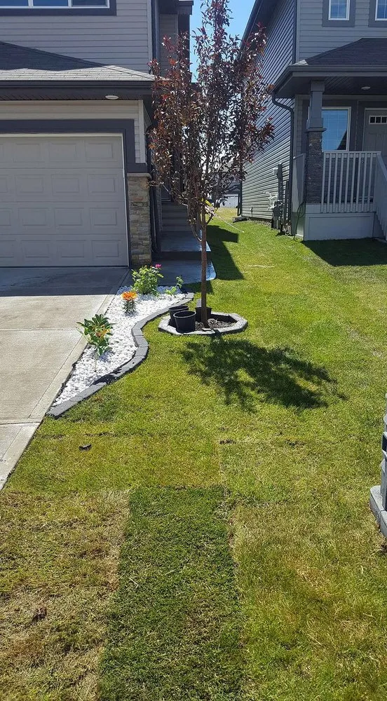 Trusted residential landscaping in Pittsburgh, PA by Shadyside Lawn Services