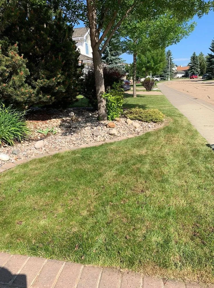 Local lawn care service near you across Pittsburgh, PA - Shadyside Lawn Services