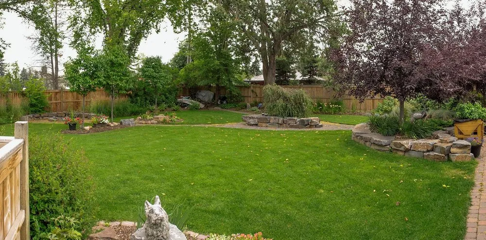 Top-rated yard cleanup service for year-round maintenance across Pittsburgh, PA - Shadyside Lawn Services