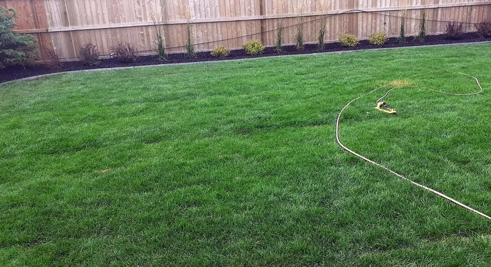 Local outdoor landscaping in Pittsburgh, PA by Shadyside Lawn Services