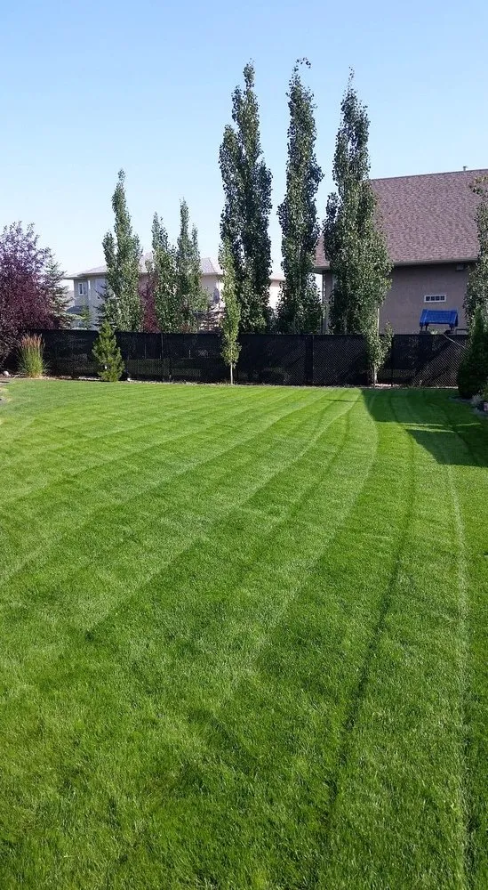 Professional landscape installation in Pittsburgh, PA by Shadyside Lawn Services