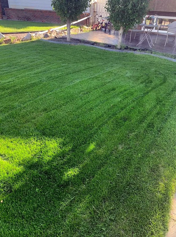 Custom lawn care service near you across Pittsburgh, PA - Shadyside Lawn Services