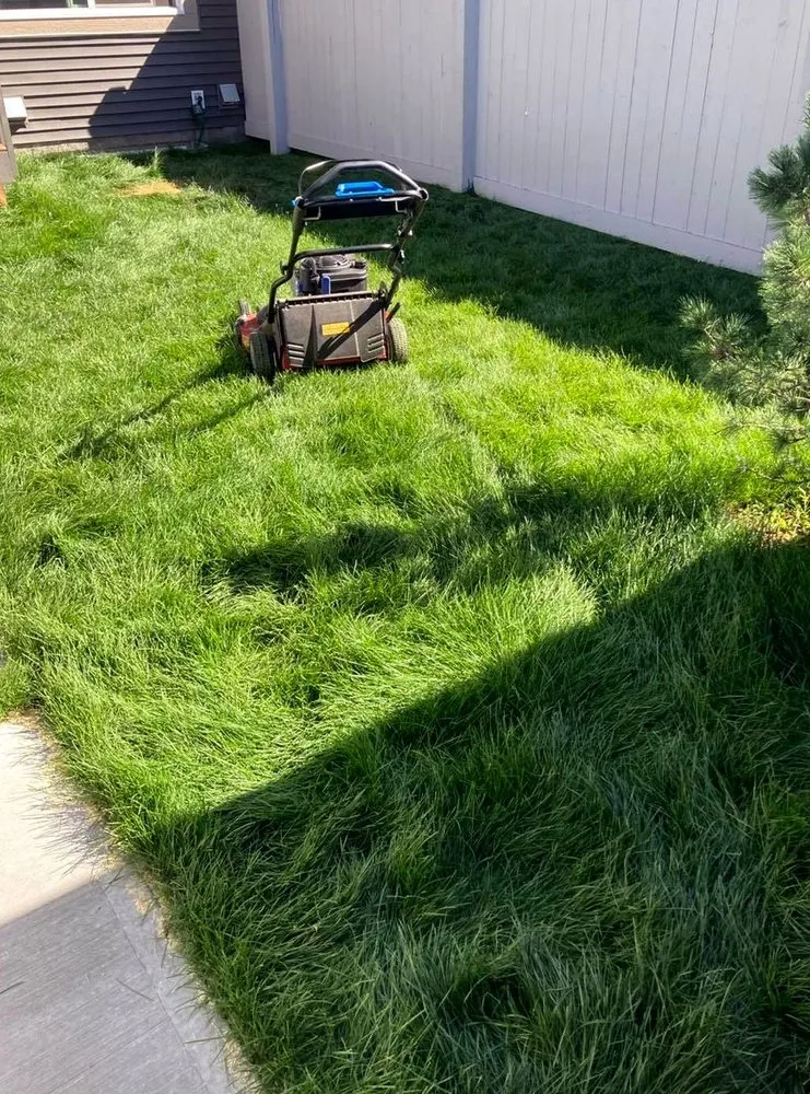Custom yard cleanup service in Pittsburgh, PA - Shadyside Lawn Services