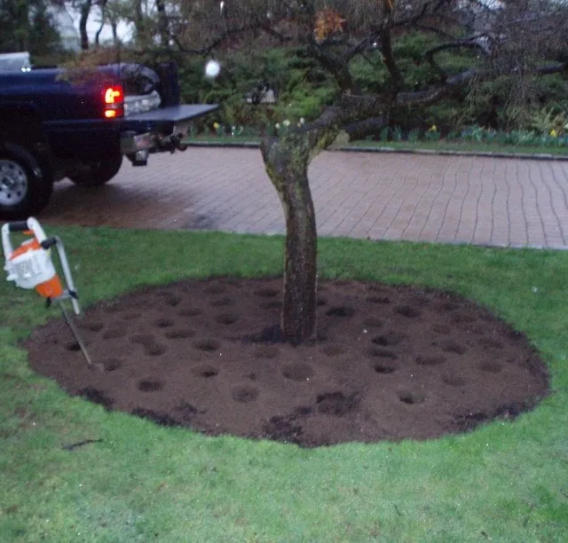 Reliable landscape design for outdoor upgrades across Port Washington, NY - Shadyside