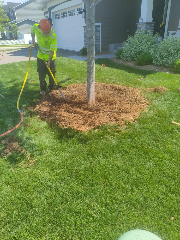 Expert residential landscaping in Hopkins, MN by Shadywood Tree Experts