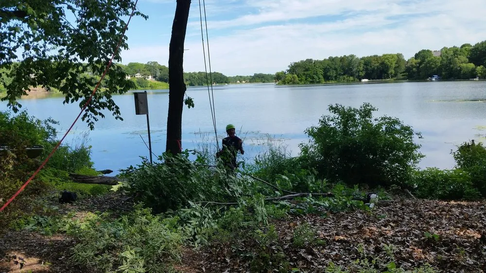 Custom residential landscaping in Hopkins, MN - Shadywood Tree Experts