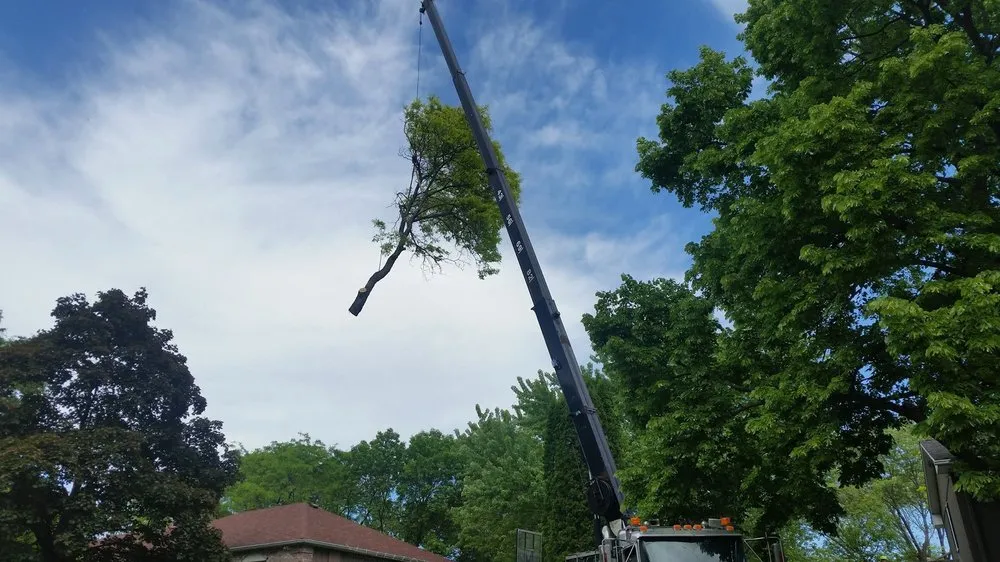 Trusted lawn mowing service in Hopkins, MN by Shadywood Tree Experts