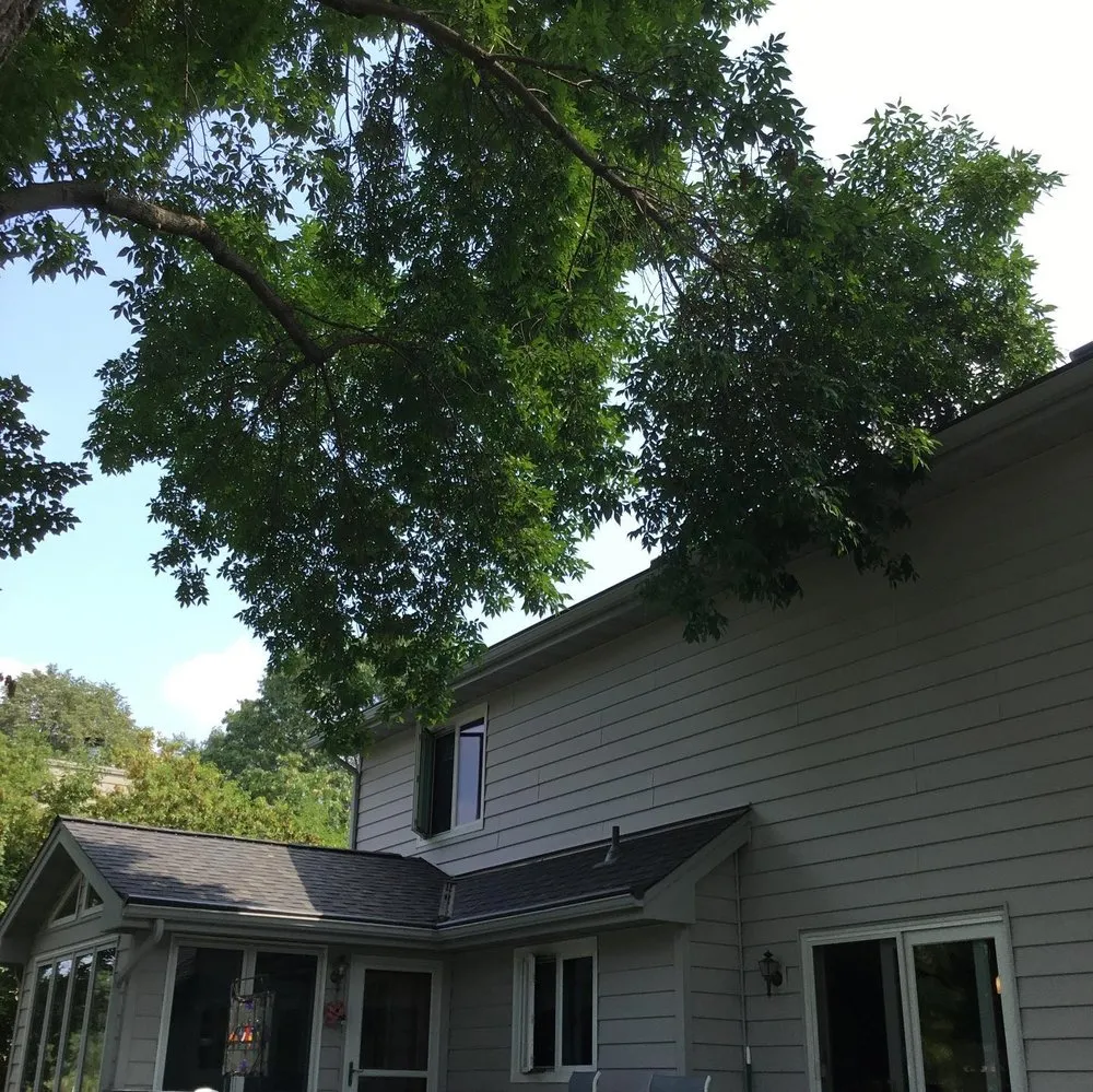 Professional lawn mowing service in Hopkins, MN by Shadywood Tree Experts