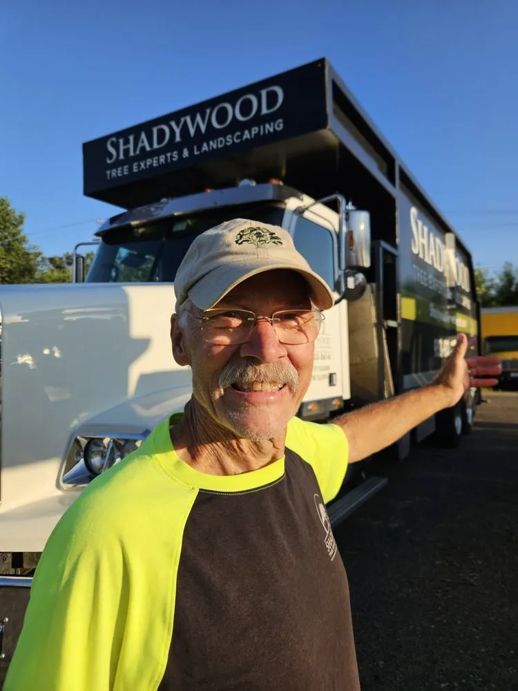 Trusted landscaping services in Hopkins, MN - Shadywood Tree Experts