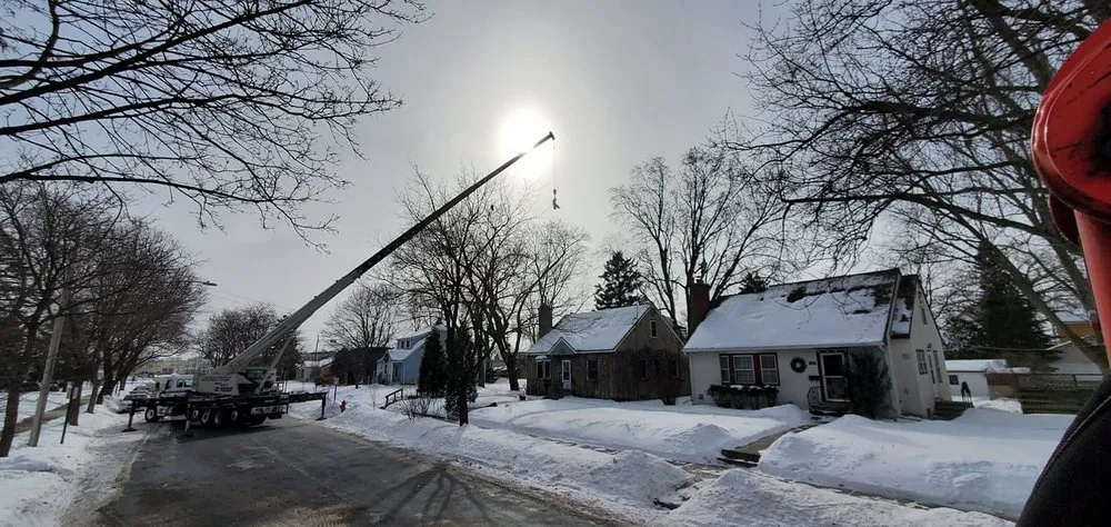 Professional lawn care service in Hopkins, MN by Shadywood Tree Experts