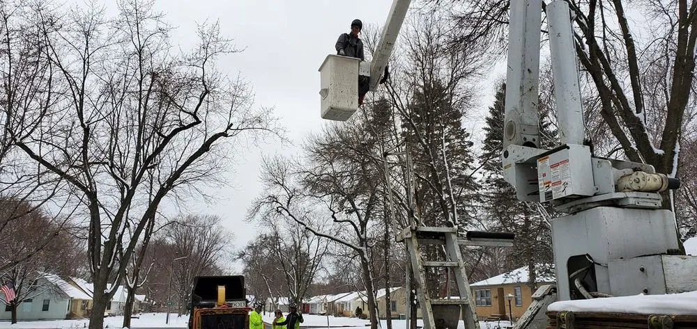 Affordable yard maintenance in Hopkins, MN - Shadywood Tree Experts