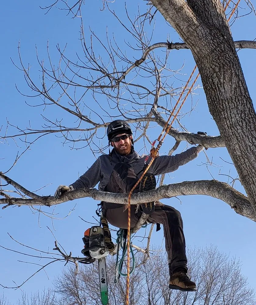 Local yard cleanup service for homes across Hopkins, MN - Shadywood Tree Experts
