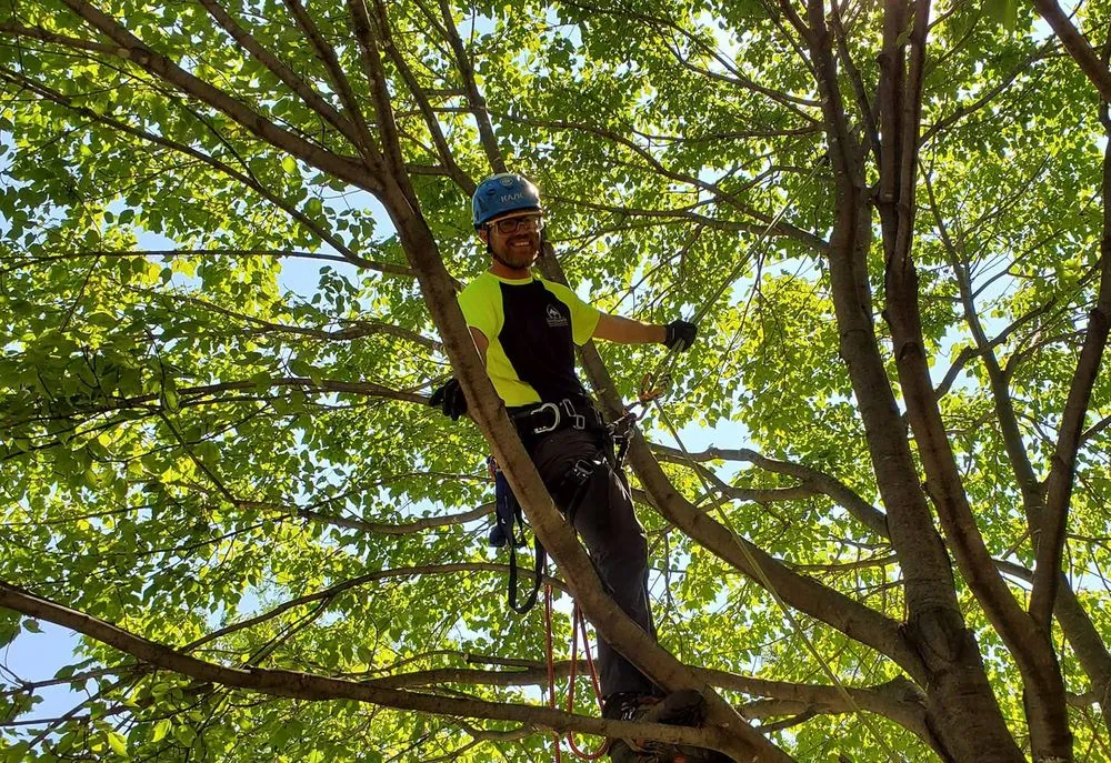 Custom outdoor landscaping in Hopkins, MN by Shadywood Tree Experts