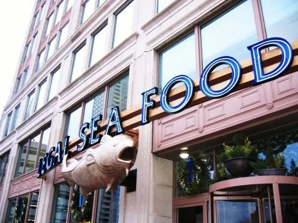 Expert residential landscaping for year-round maintenance in Hopkins, MN by Shadywood Tree Experts