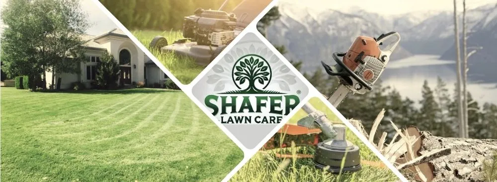 Reliable yard cleanup service experts serving Clovis, NM - Shafer Lawncare