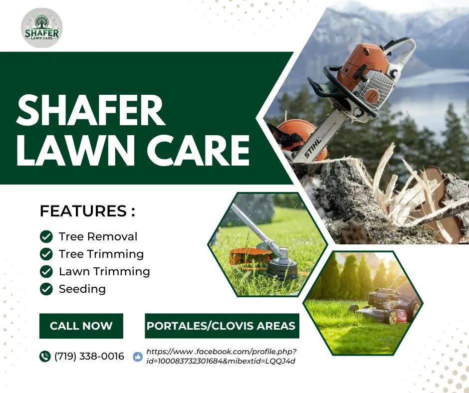 Professional residential landscaping in Clovis, NM by Shafer Lawncare