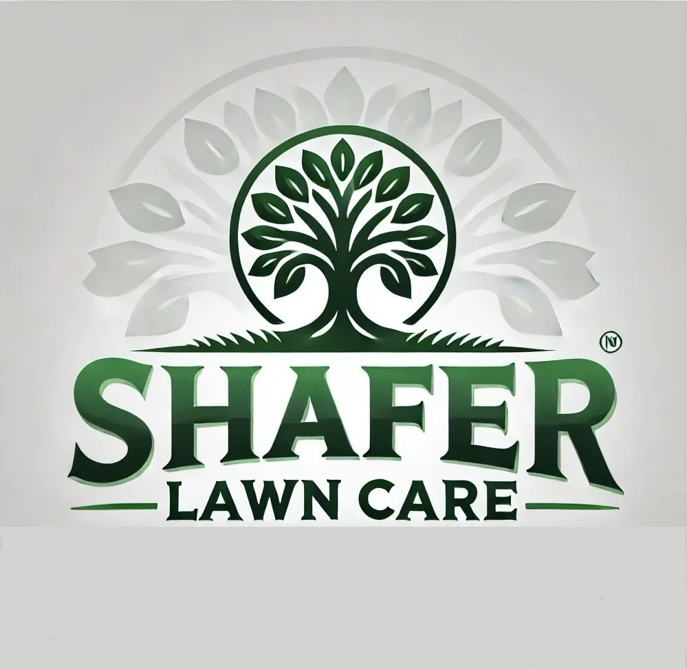 Expert landscaping services near you across Clovis, NM - Shafer Lawncare